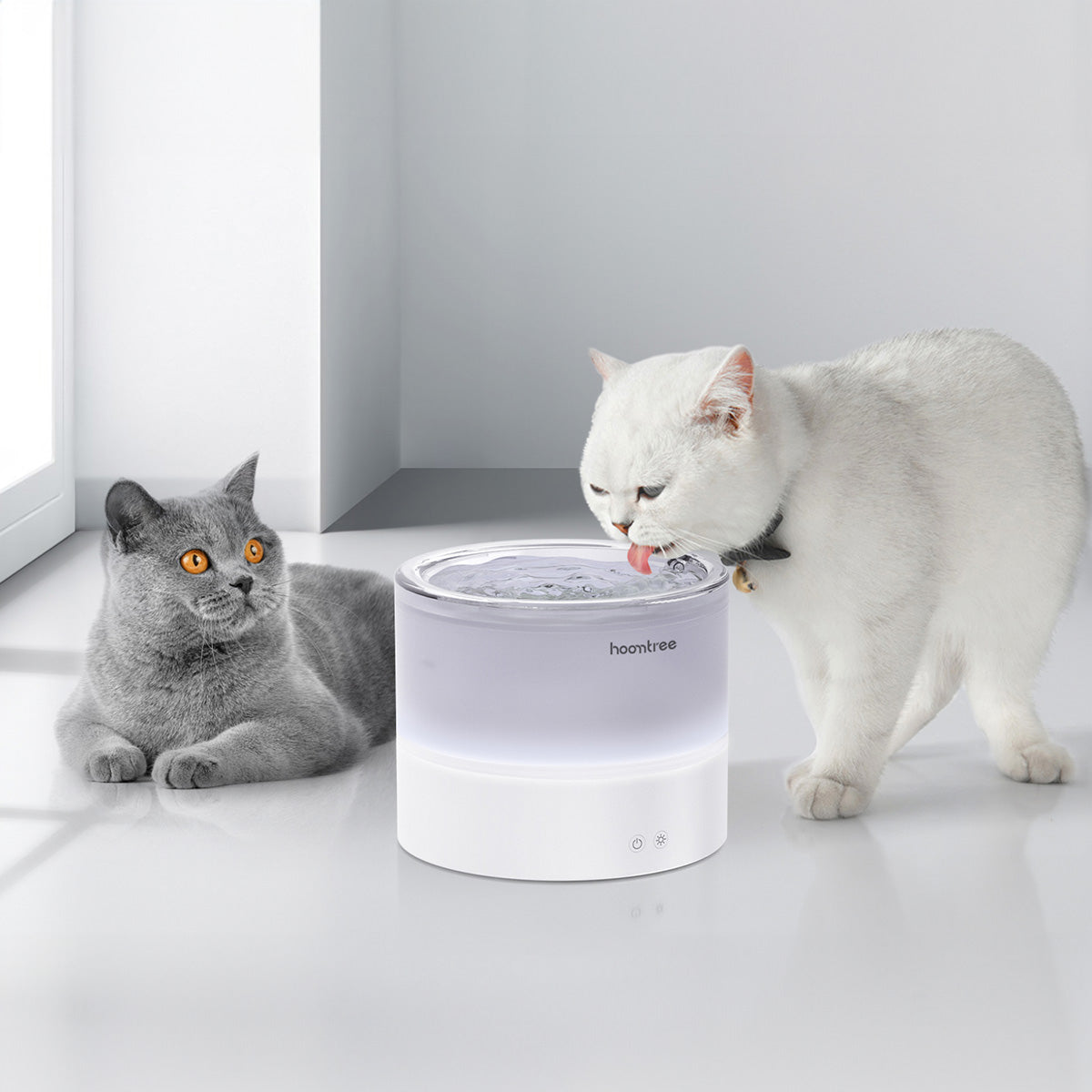Hoomtree Pet Fountain - Making Every Drop of Water Healthy for Your Pet😻🐶👨‍👩‍👧‍👦