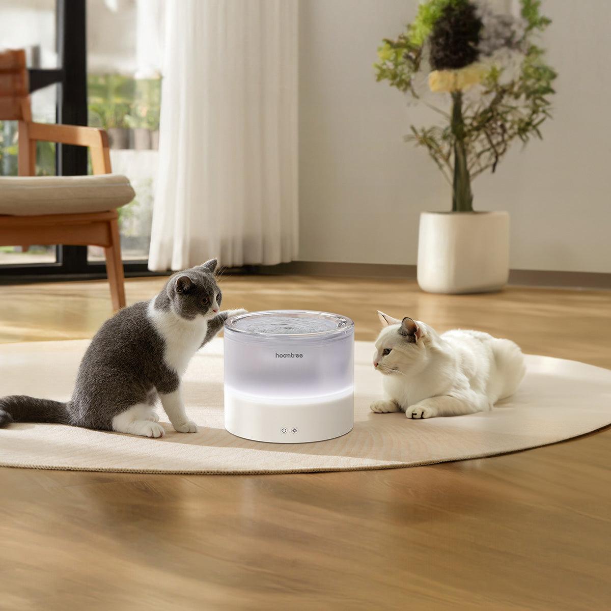 Hoomtree Pet Fountain - Making Every Drop of Water Healthy for Your Pet😻🐶👨‍👩‍👧‍👦